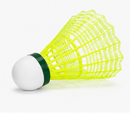 Plastic Shuttles - Pack of 6